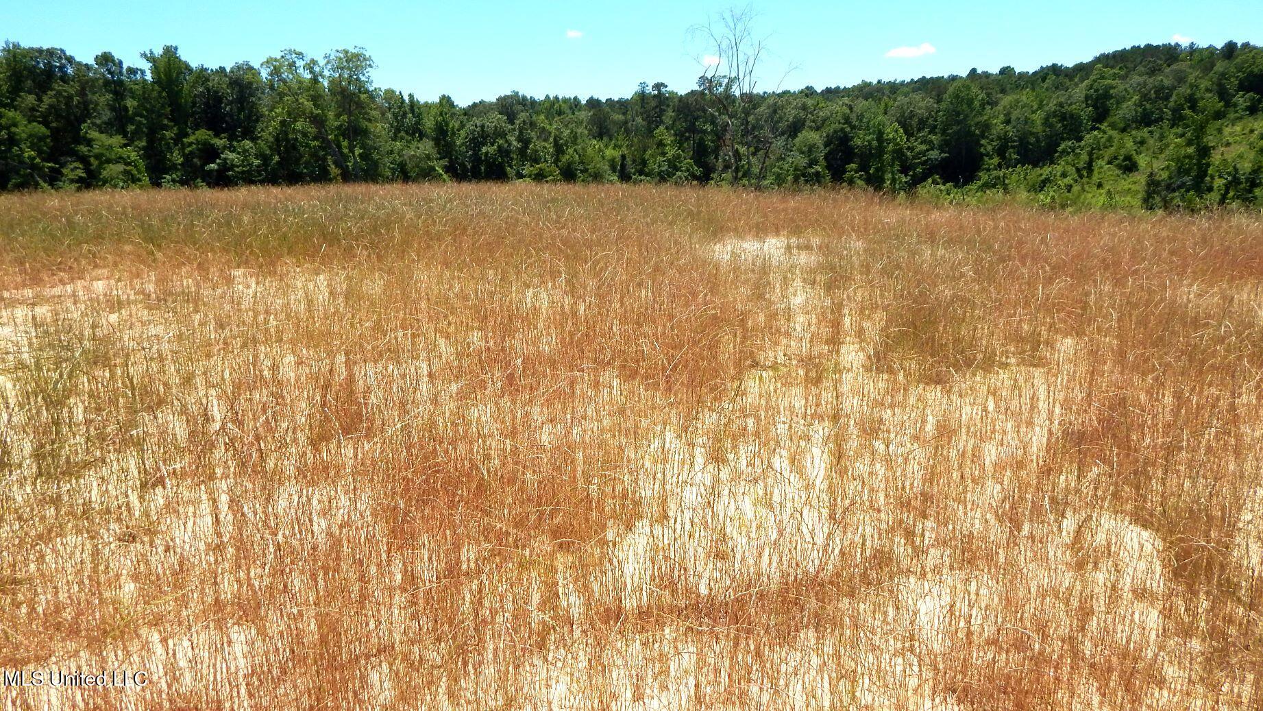 104 Hugh White State Pk Road Grenada, MS 38901 - Photo 2 of 14 DSCN6878