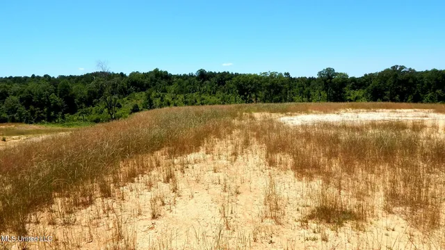 $99,900 | 104 Hugh White State Pk Road, Grenada, MS 38901