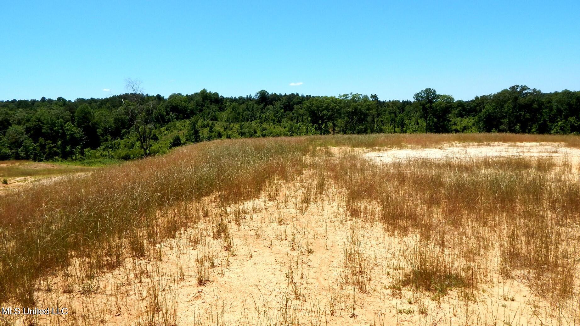 104 Hugh White State Pk Road Grenada, MS 38901 - Photo 3 of 14 DSCN6876