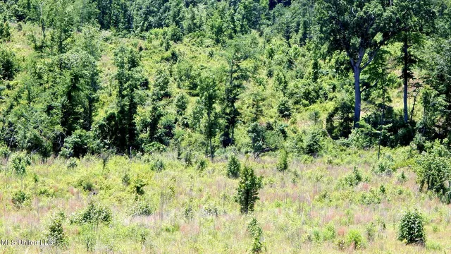 $99,900 | 104 Hugh White State Pk Road, Grenada, MS 38901