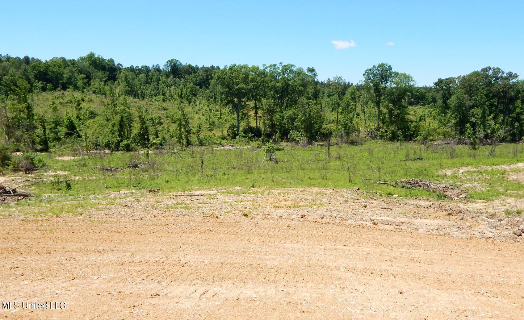 104 Hugh White State Pk Road Grenada, MS 38901 - Photo 7 of 14 DSCN5096