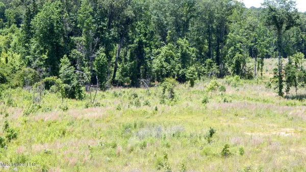 $99,900 | 104 Hugh White State Pk Road, Grenada, MS 38901