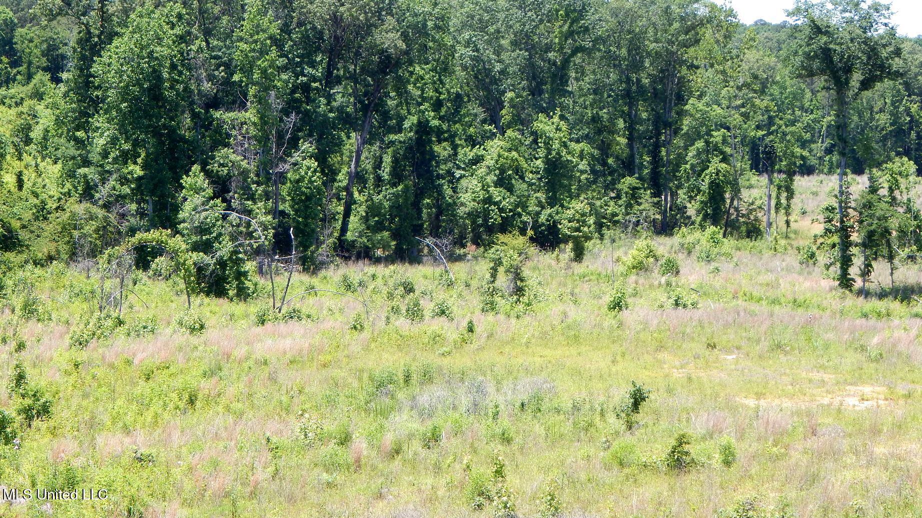 104 Hugh White State Pk Road Grenada, MS 38901 - Photo 10 of 14 DSCN6881