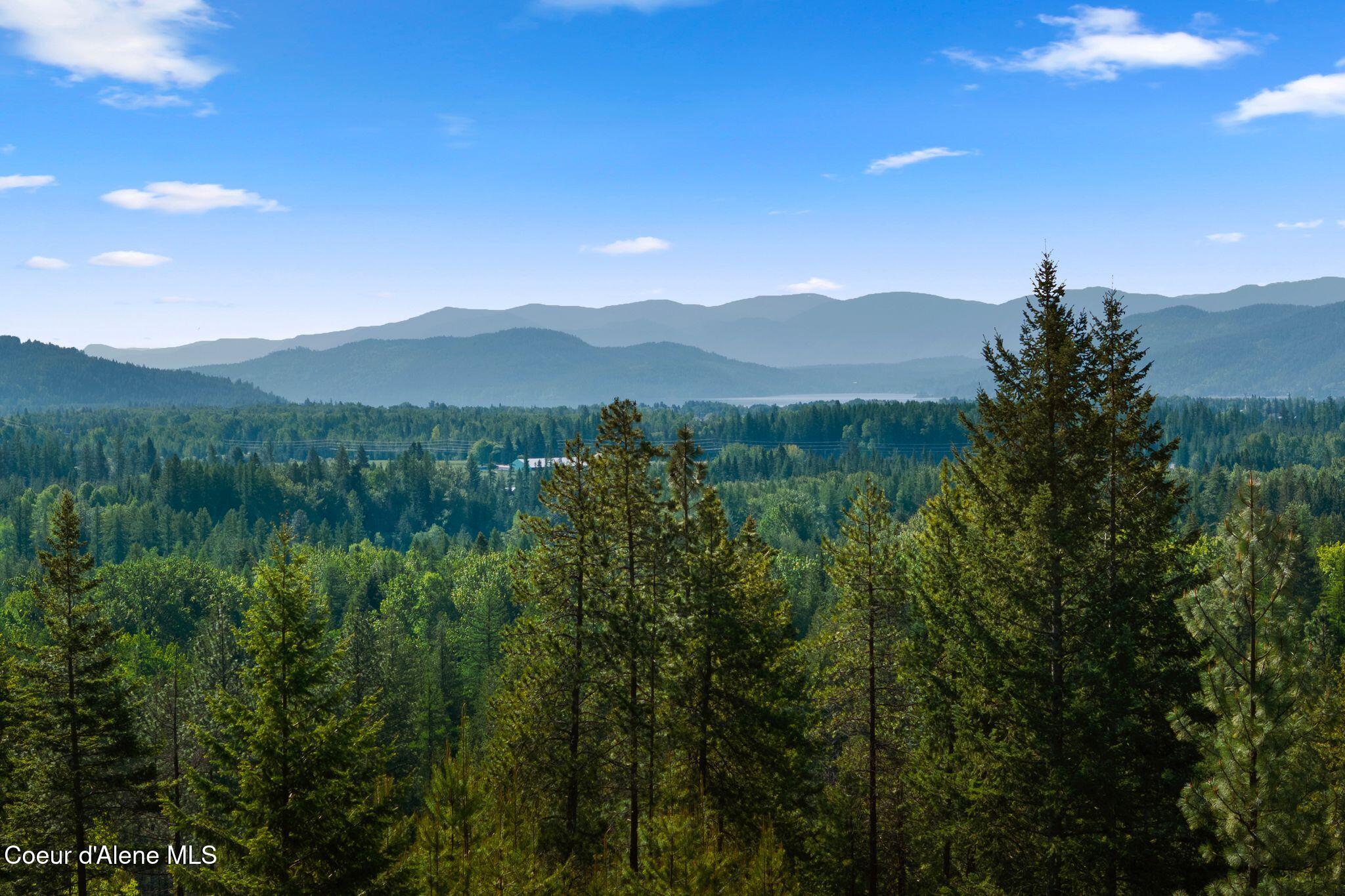 294 Rincon Drive Sandpoint, ID 83864 - Photo 88 of 96 Beauty Surrounds