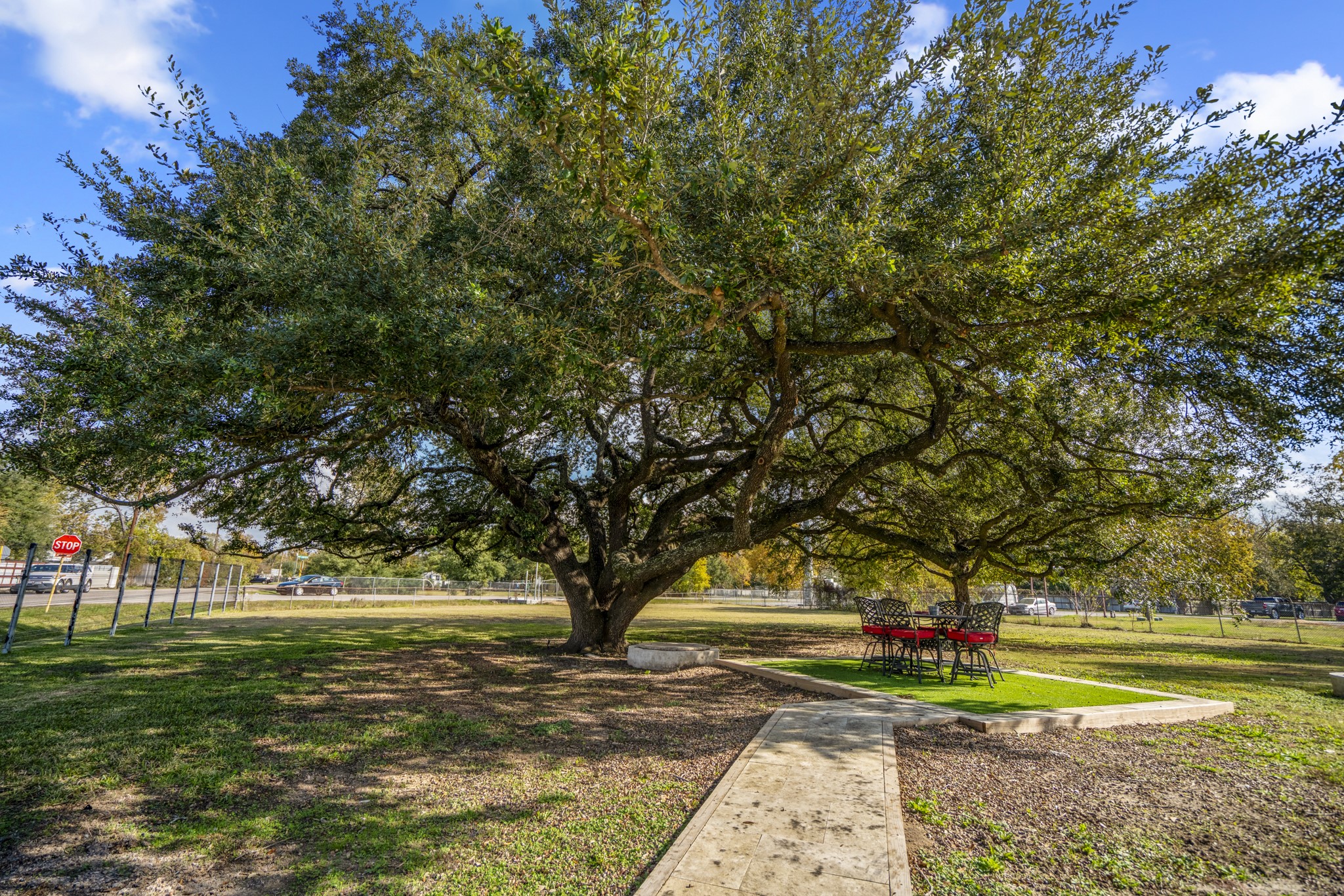 3207 Brownie Campbell Road Houston, TX 77086 - Photo 41 of 49 a view of a yard with large trees