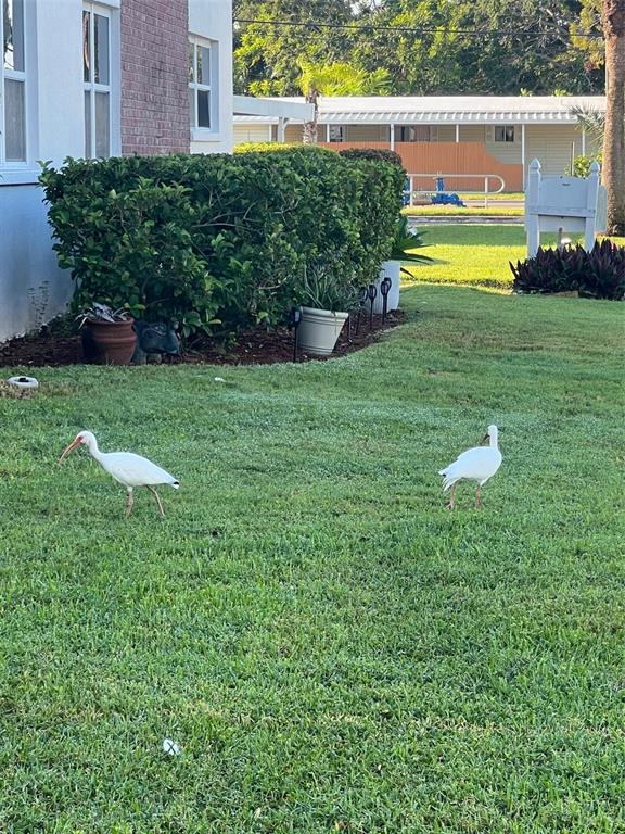 7941 58th Avenue North, Unit 106 St. Petersburg, FL 33709 - Photo 3 of 30