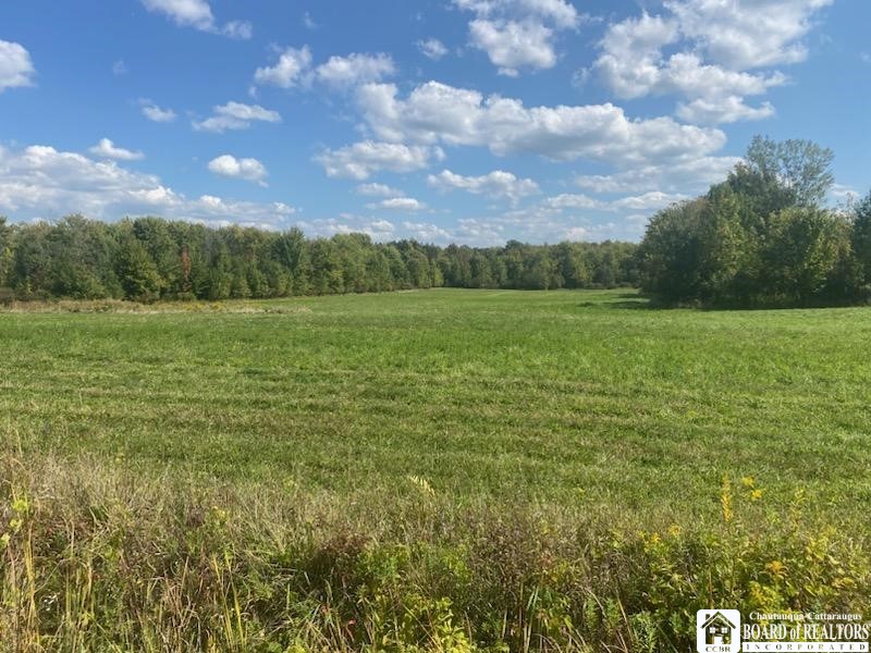Vl West Perrysburg Road Perrysburg, NY 14129 - Photo 1 of 1