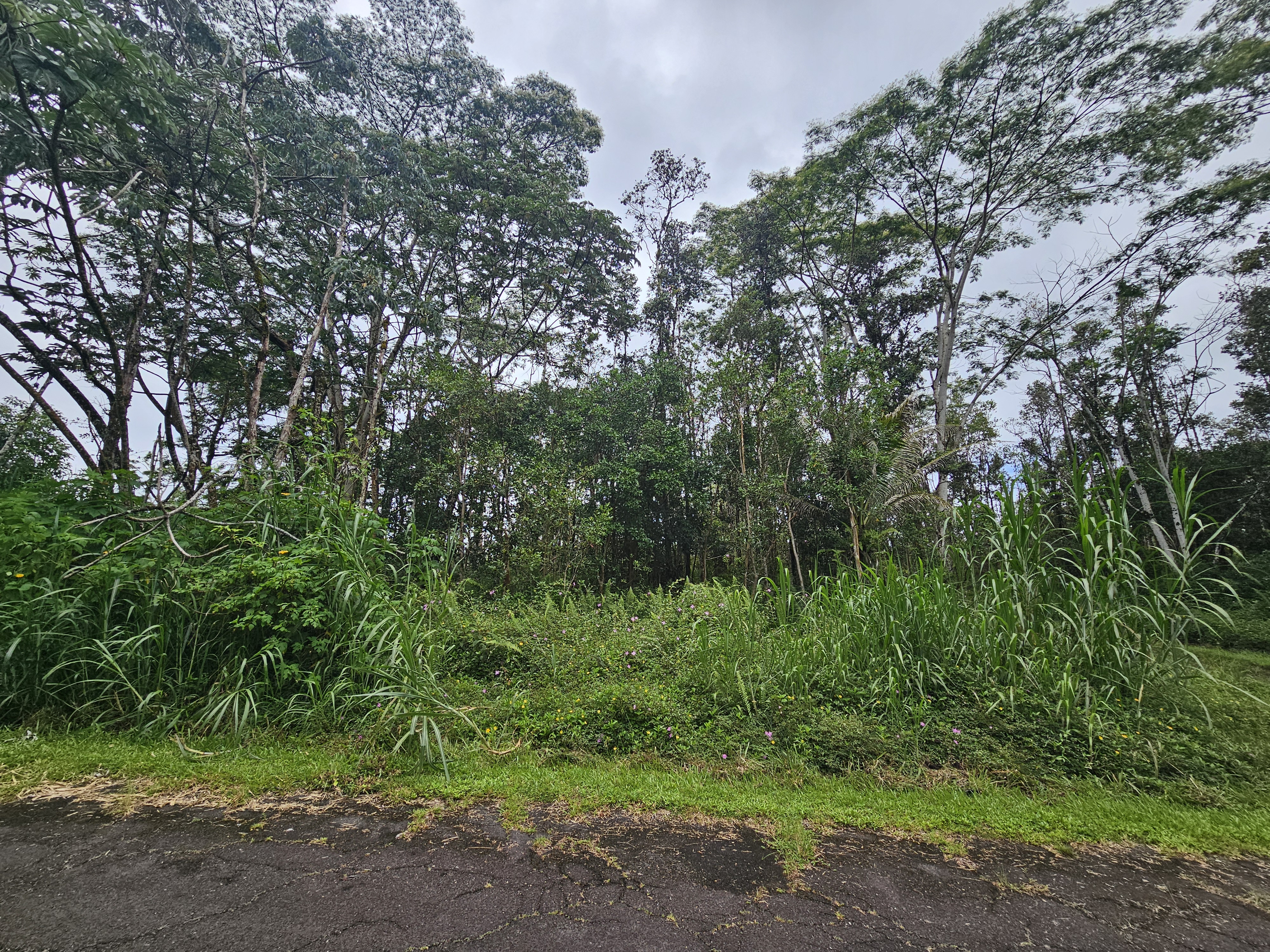 247 Pahoa Road Pahoa, HI 96778 - Photo 9 of 11