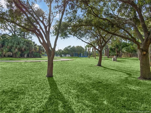 a view of a park with large trees