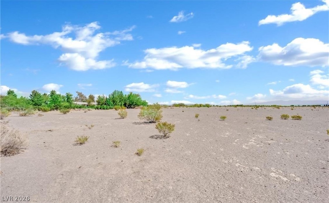 3699 South Miner Road Amargosa Valley, NV 89020 - Photo 4 of 6 A sprawling desert lot presents an open canvas for your vision, framed by distant greenery.