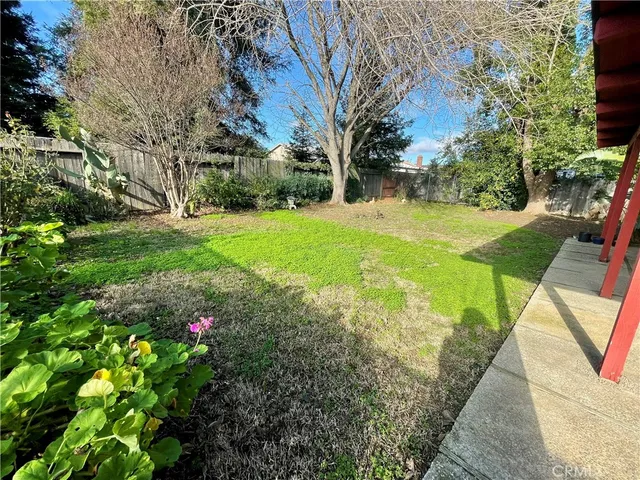a view of yard with fountain and trees