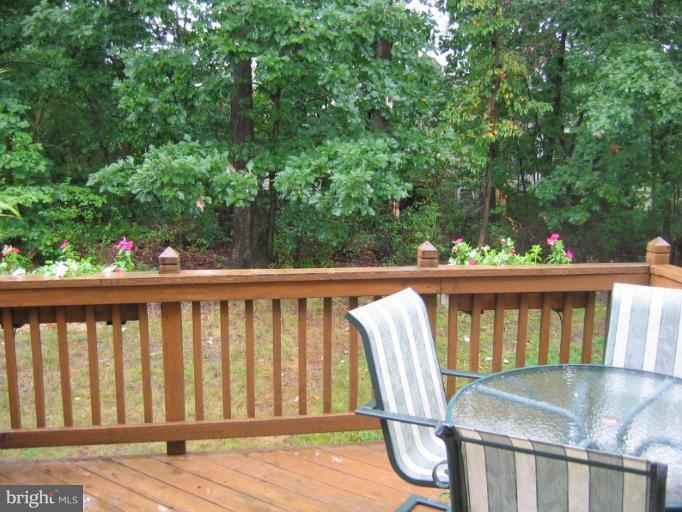 Deck - View from
