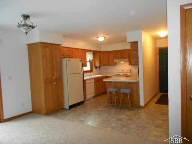 Quality Oak Cupboards - Electric Range - Dishwasher - Refrigerator - Disposal - Hood/Fan -  Good Counter space/Bar -  10x15