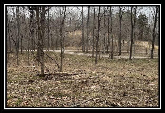 35471 Buck Run Road Langsville, OH 45741 - Photo 11 of 32