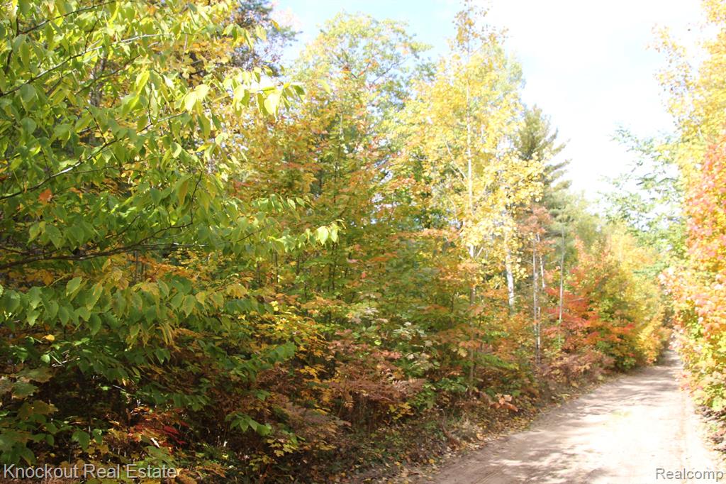 0 McCormick Road Cheboygan, MI 49721 - Photo 14 of 14