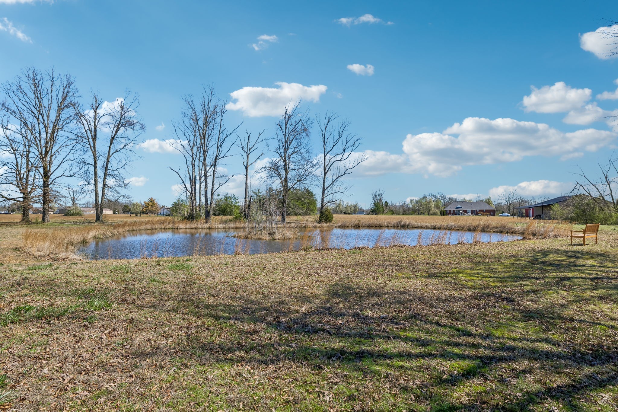 267 Switzerland Road Hohenwald, TN 38462 - Photo 82 of 98