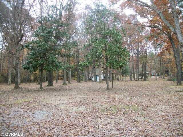 14121 Beach Road Chesterfield, VA 23838 - Photo 13 of 14 a view of outdoor space with trees