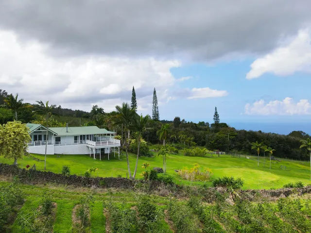 a view of a house with a big yard and large trees
