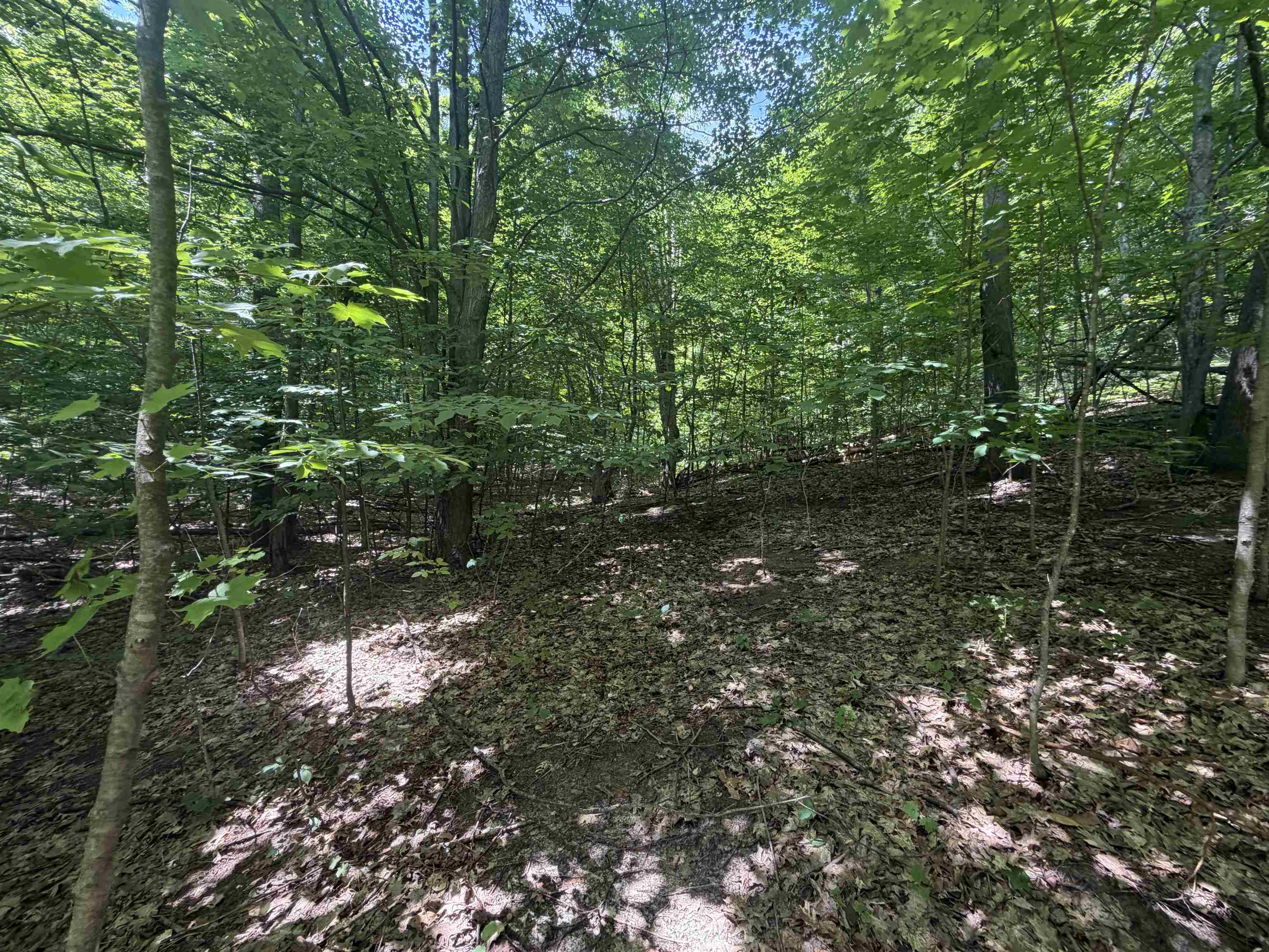 0 South Lou-Len Road Traverse City, MI 49684 - Photo 11 of 12 1947762-76b96cfc-5ab5-446f-8b69-12161c6f3f02.JPG