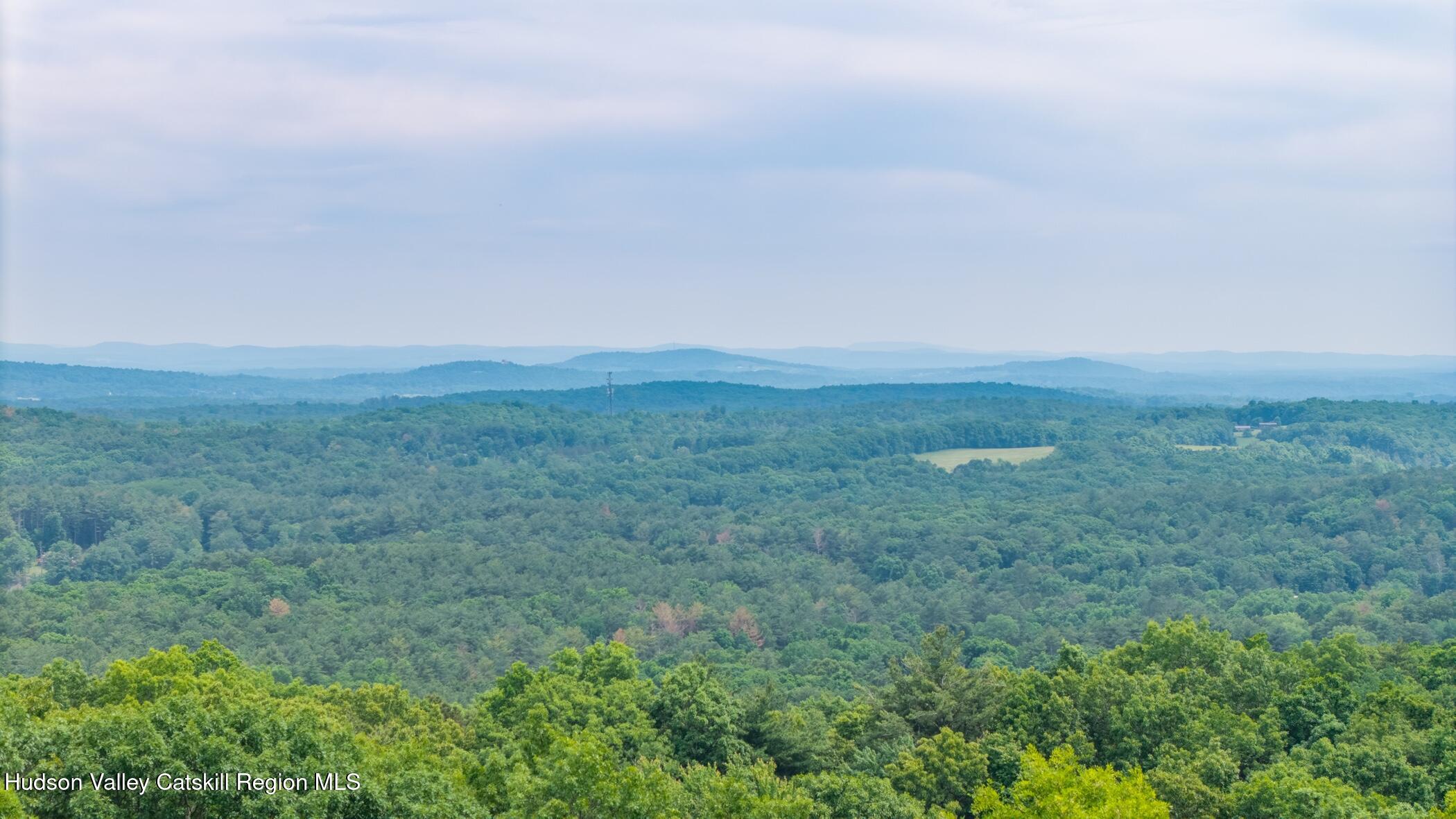 Tbd Tbd Skinner Road Catskill, NY 12414 - Photo 12 of 16 Image-12