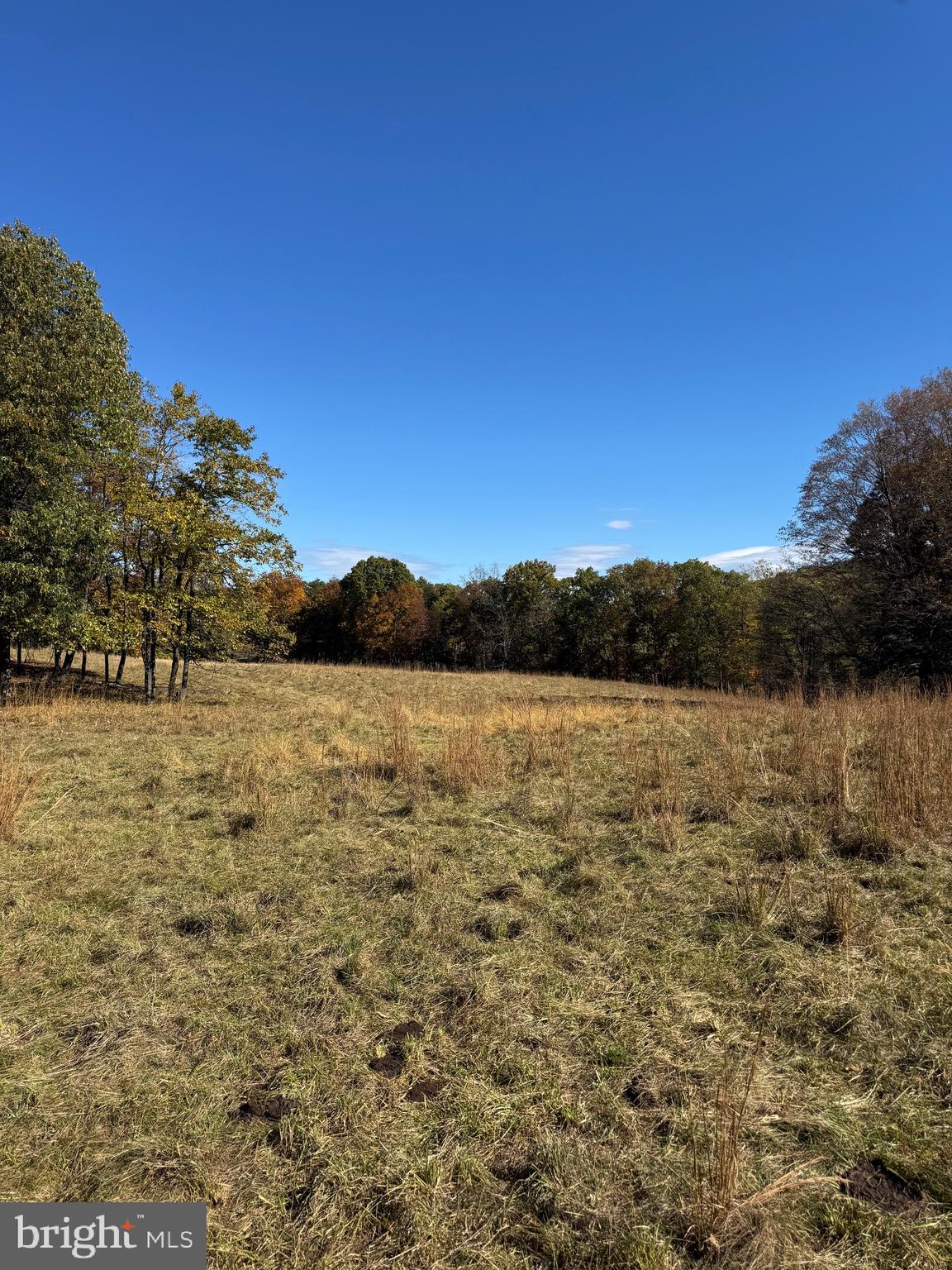 781 Dunmore Road Petersburg, WV 26847 - Photo 20 of 35