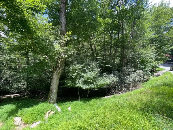 $25,000 | 252 Greenbriar Road, Beech Mountain, NC 28604