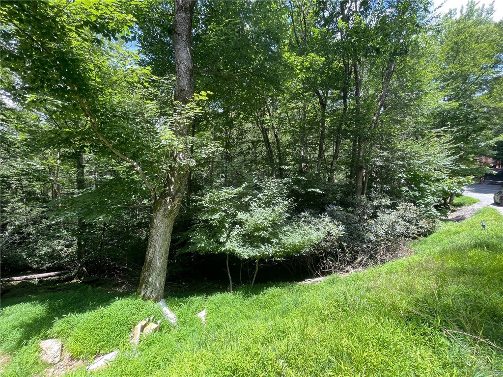 252 Greenbriar Road Beech Mountain, NC 28604 - Photo 1 of 17