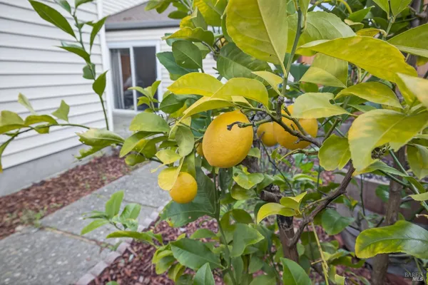 $415,000 | 1600 Yardley Street, Santa Rosa, CA 95403