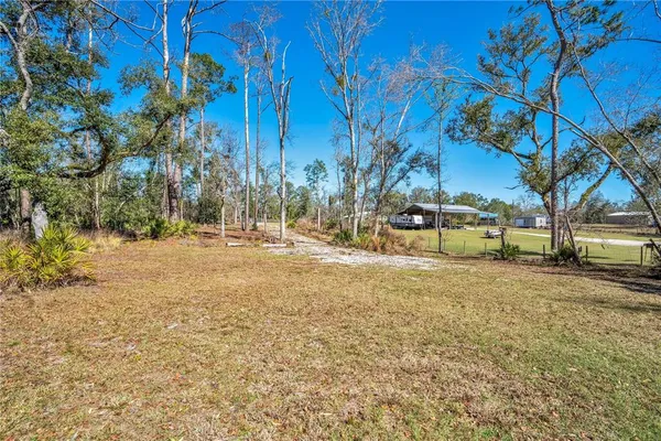 a view of road with large trees