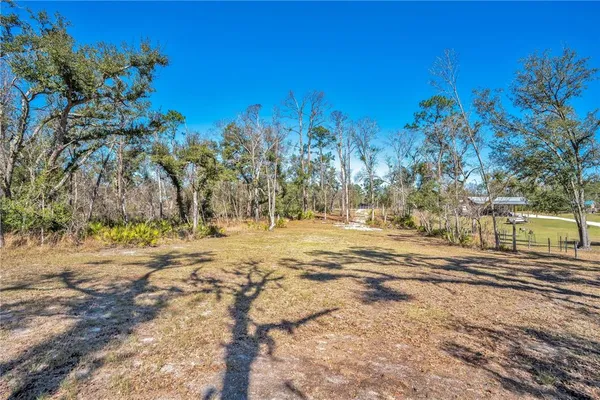 a view of dirt yard with a large tree