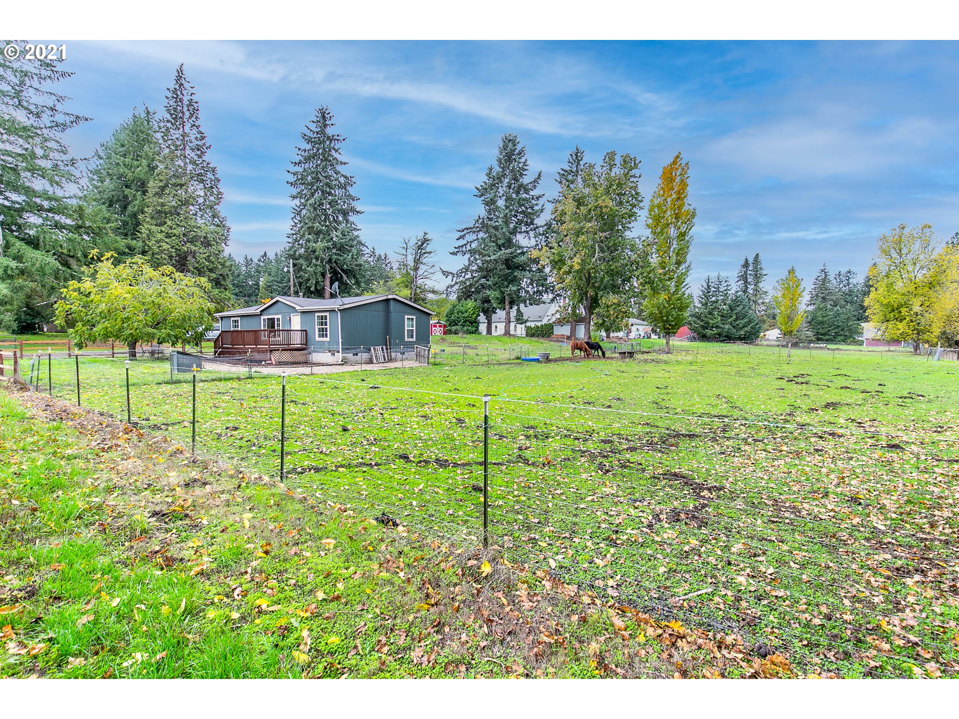 38075 Wheeler Road Dexter, OR 97431 - Photo 2 of 32 a garden view