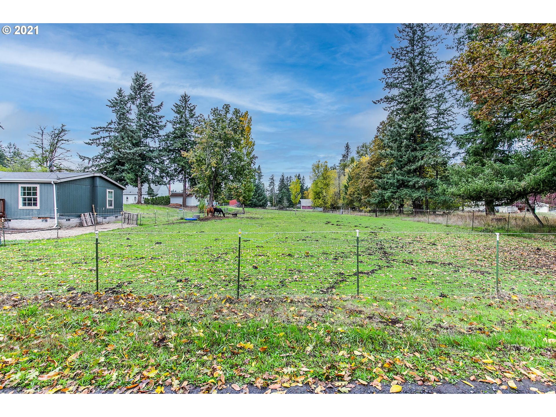 38075 Wheeler Road Dexter, OR 97431 - Photo 3 of 32 a view of a house with a backyard