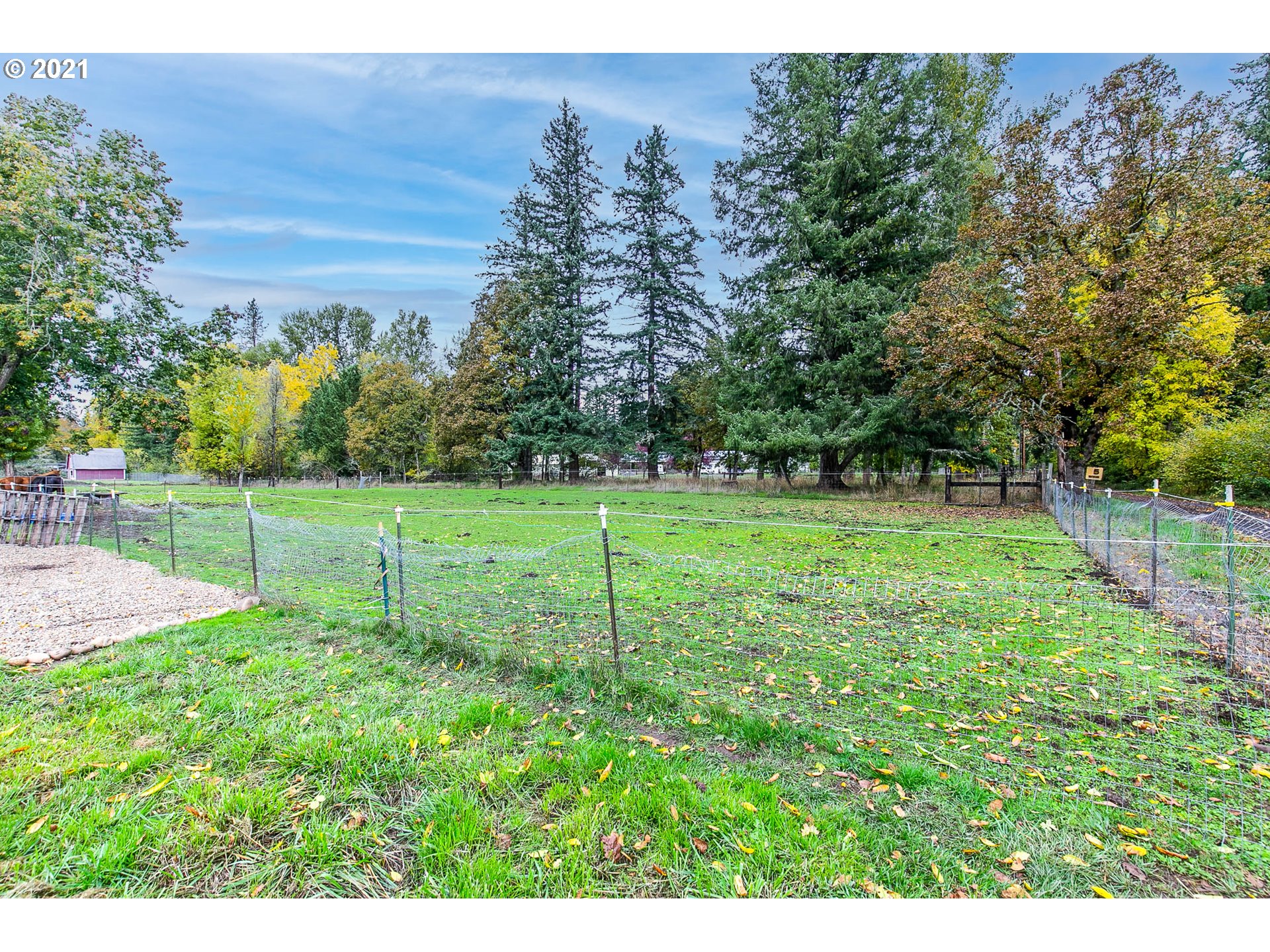 38075 Wheeler Road Dexter, OR 97431 - Photo 27 of 32 a view of a backyard with swings