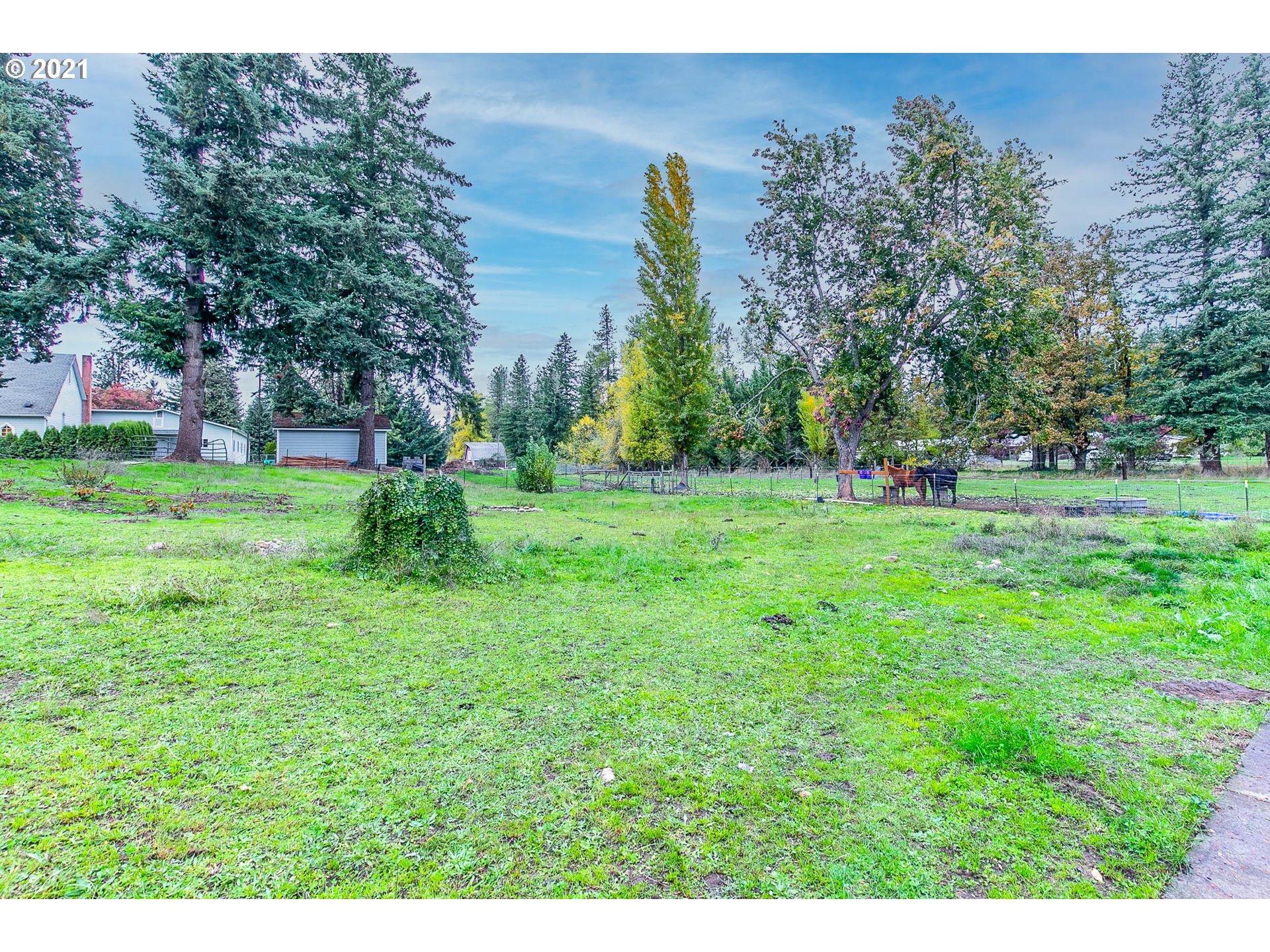 38075 Wheeler Road Dexter, OR 97431 - Photo 28 of 32 a view of a park with large trees