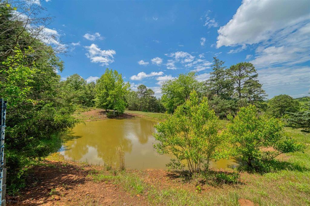 1936 B Silver Maple Road Big Sandy, TX 75755 - Photo 30 of 40