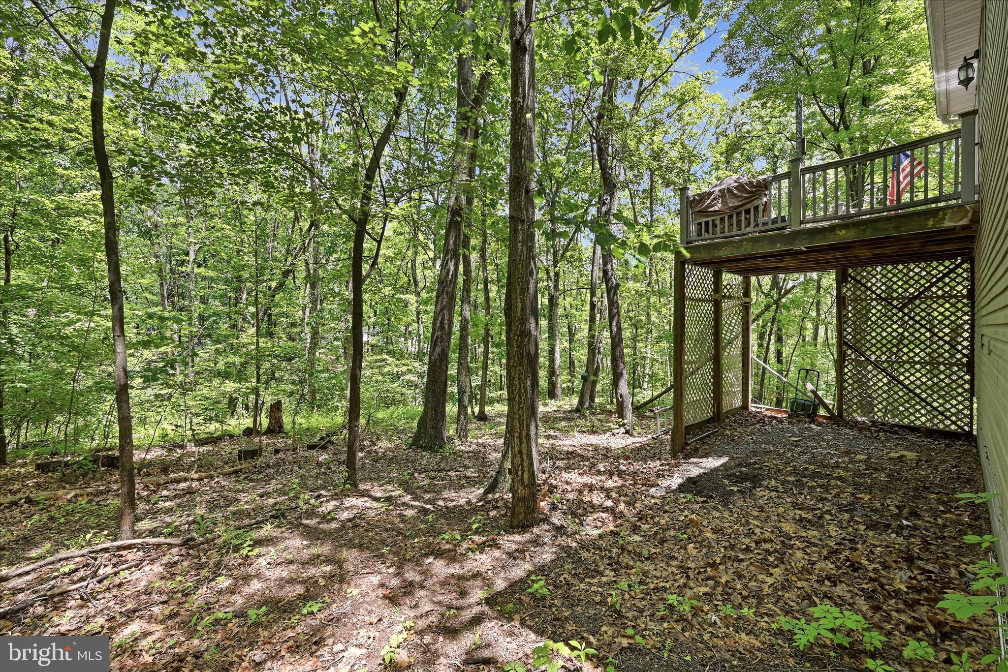 347 Getaway Road Hedgesville, WV 25427 - Photo 30 of 44 Backyard