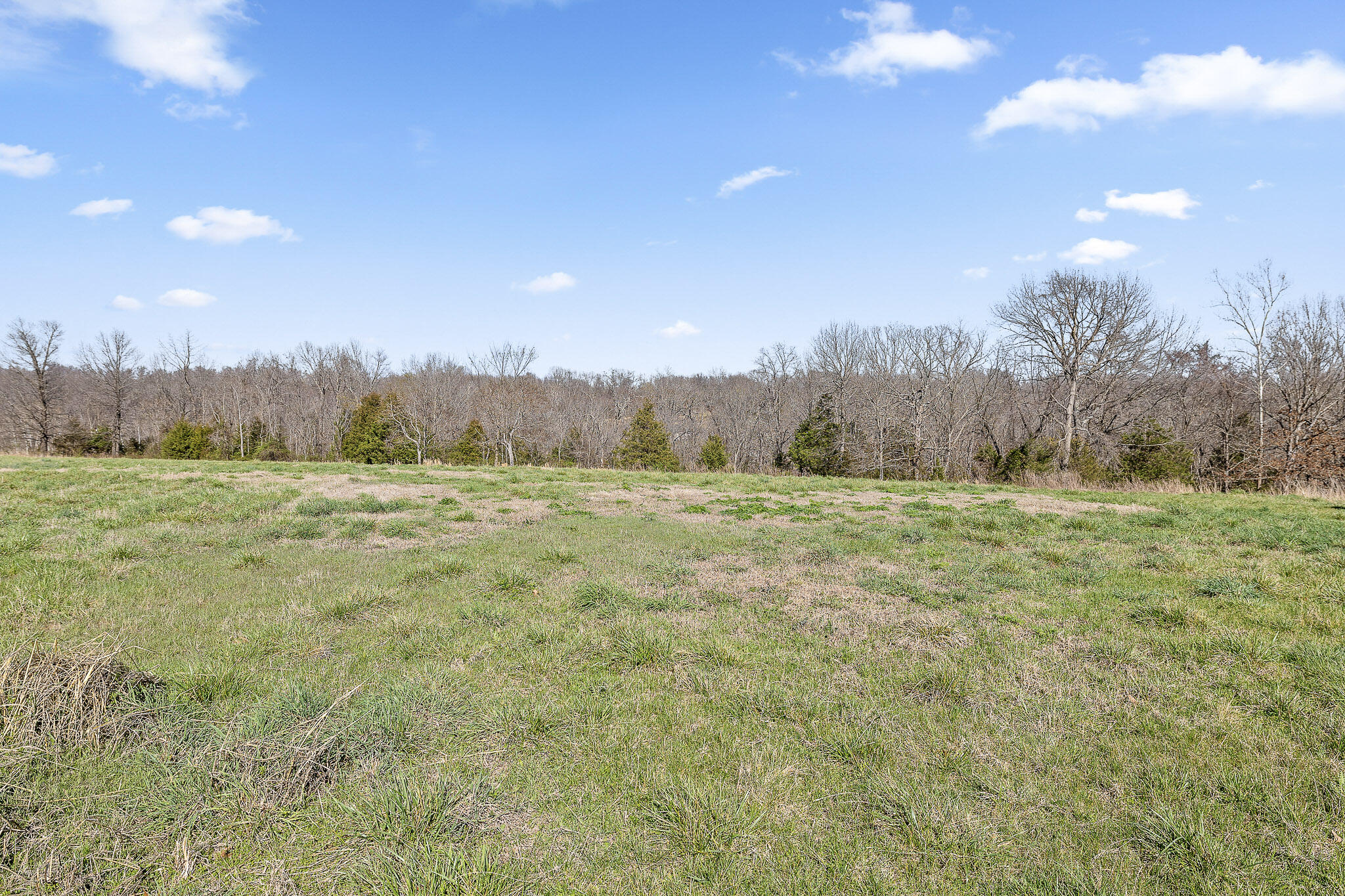 2259 Racetrack Hollow Road Anderson, MO 64831 - Photo 58 of 70 59-2259 Racetrack Hollow-61