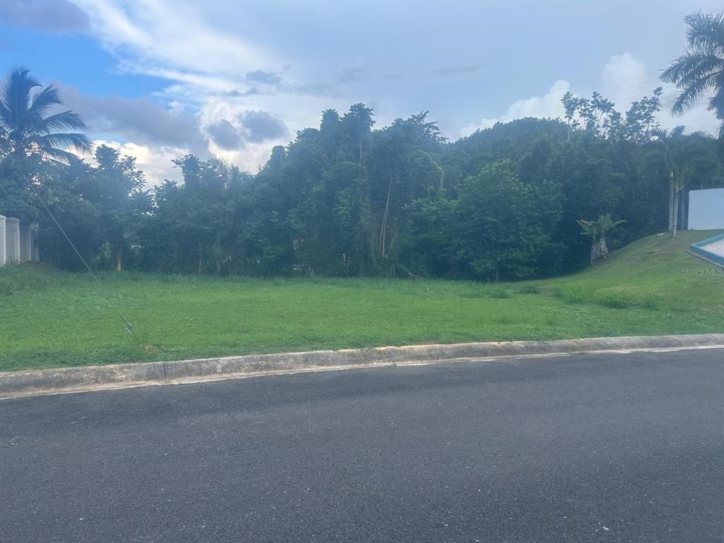 . Ruisenor Street, Unit 910 Barceloneta, PR 00617 - Photo 1 of 1