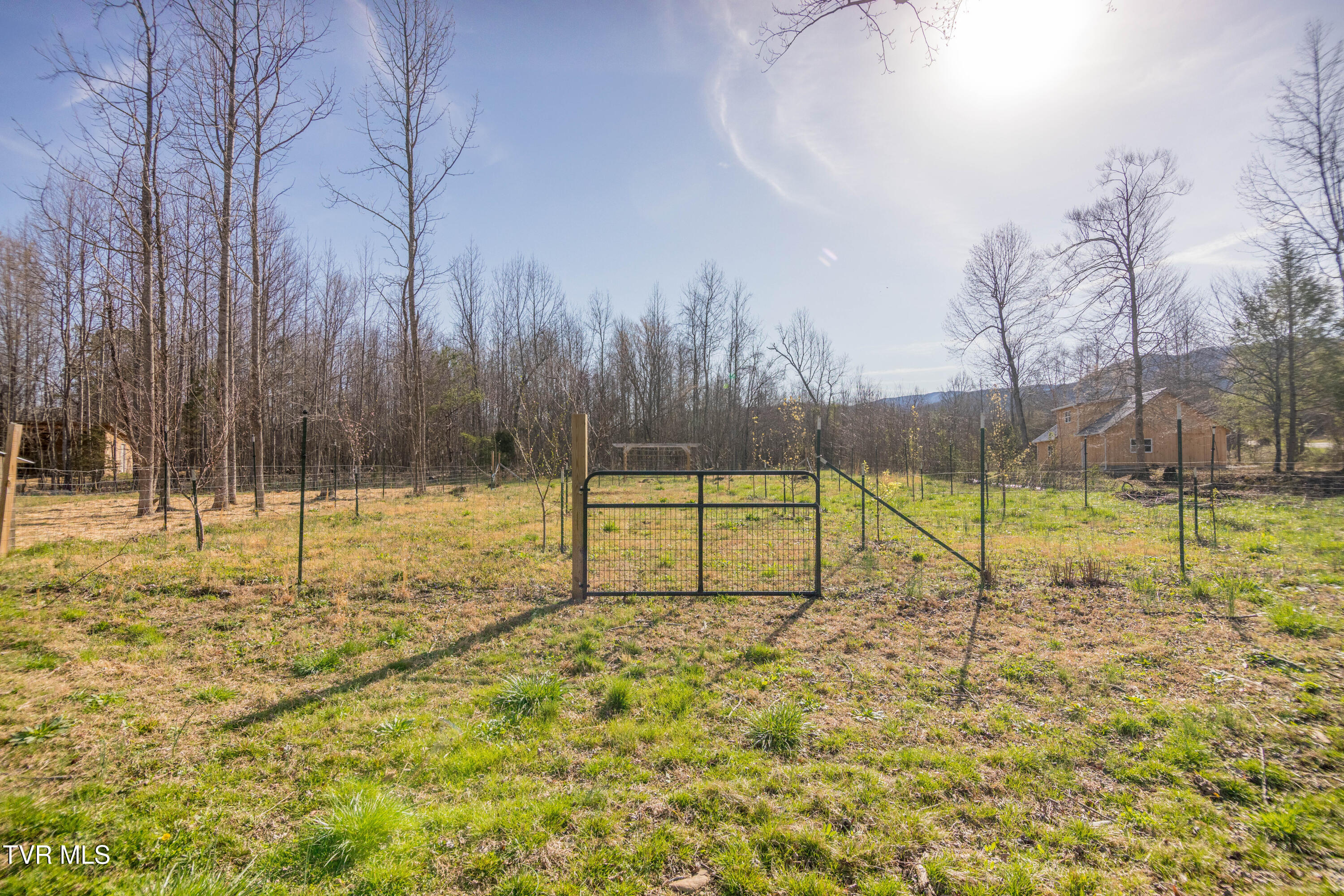 815 South Water Fork Road Greeneville, TN 37743 - Photo 29 of 38 087A9773-HDR
