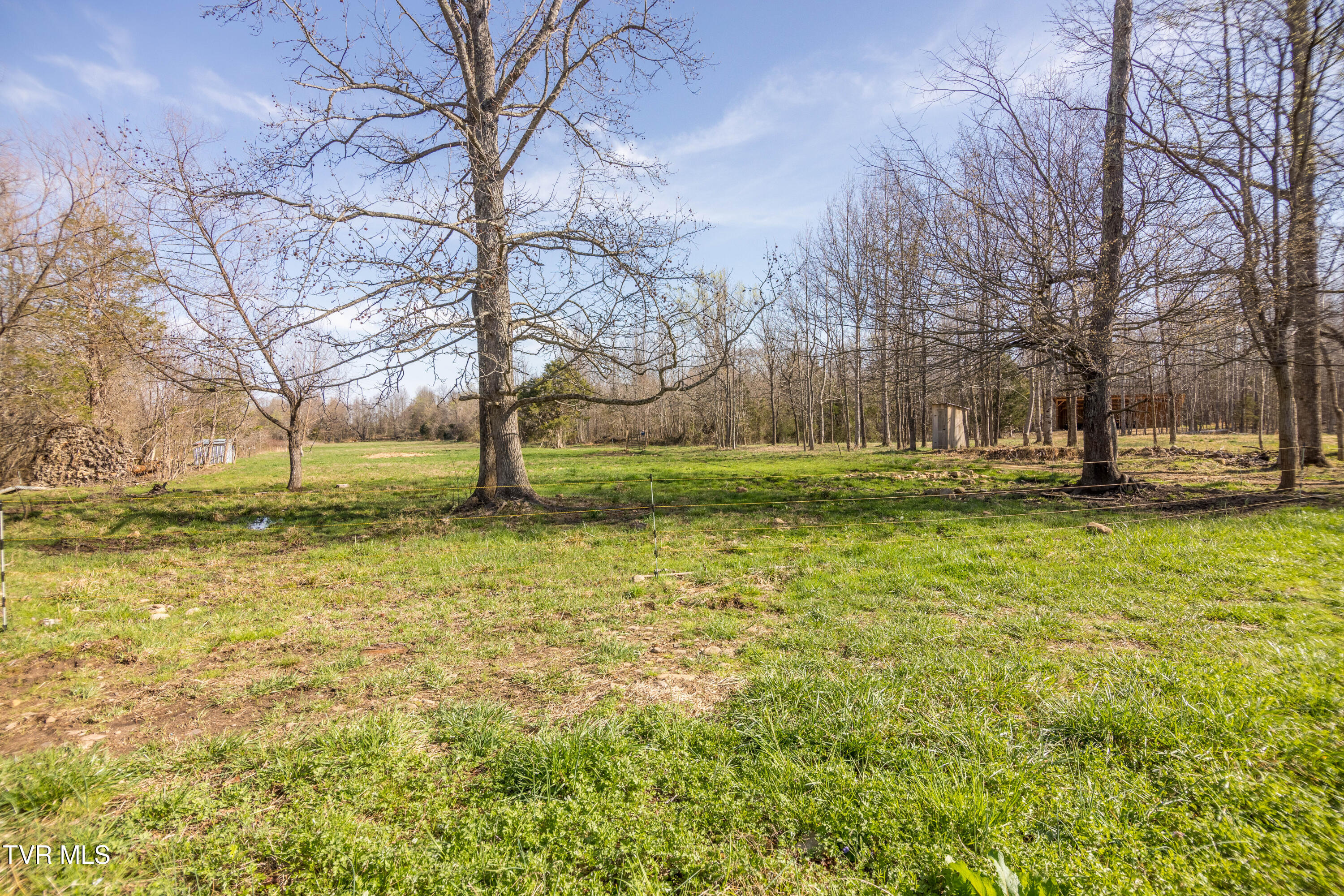 815 South Water Fork Road Greeneville, TN 37743 - Photo 32 of 38 087A9782-HDR