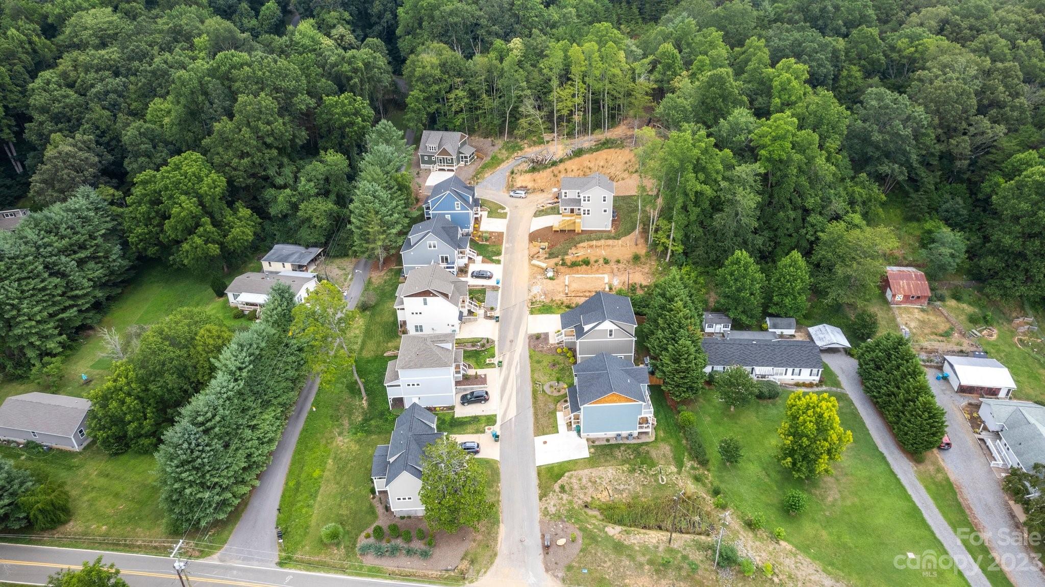 309 Magnolia Ridge Road Swannanoa, NC 28778 - Photo 8 of 36 Gallery Image 8
