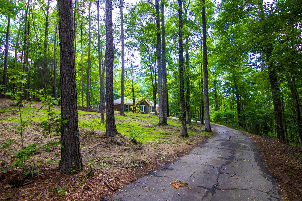 1006 Green Ridge Road Cataula, GA 31804 - Photo 23 of 24 Gallery Image 23