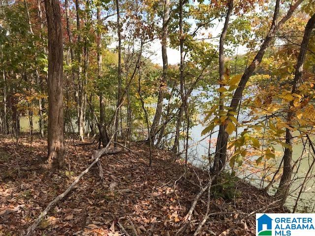 2 Ridgeline Drive, Unit 2 Calera, AL 35040 - Photo 4 of 6