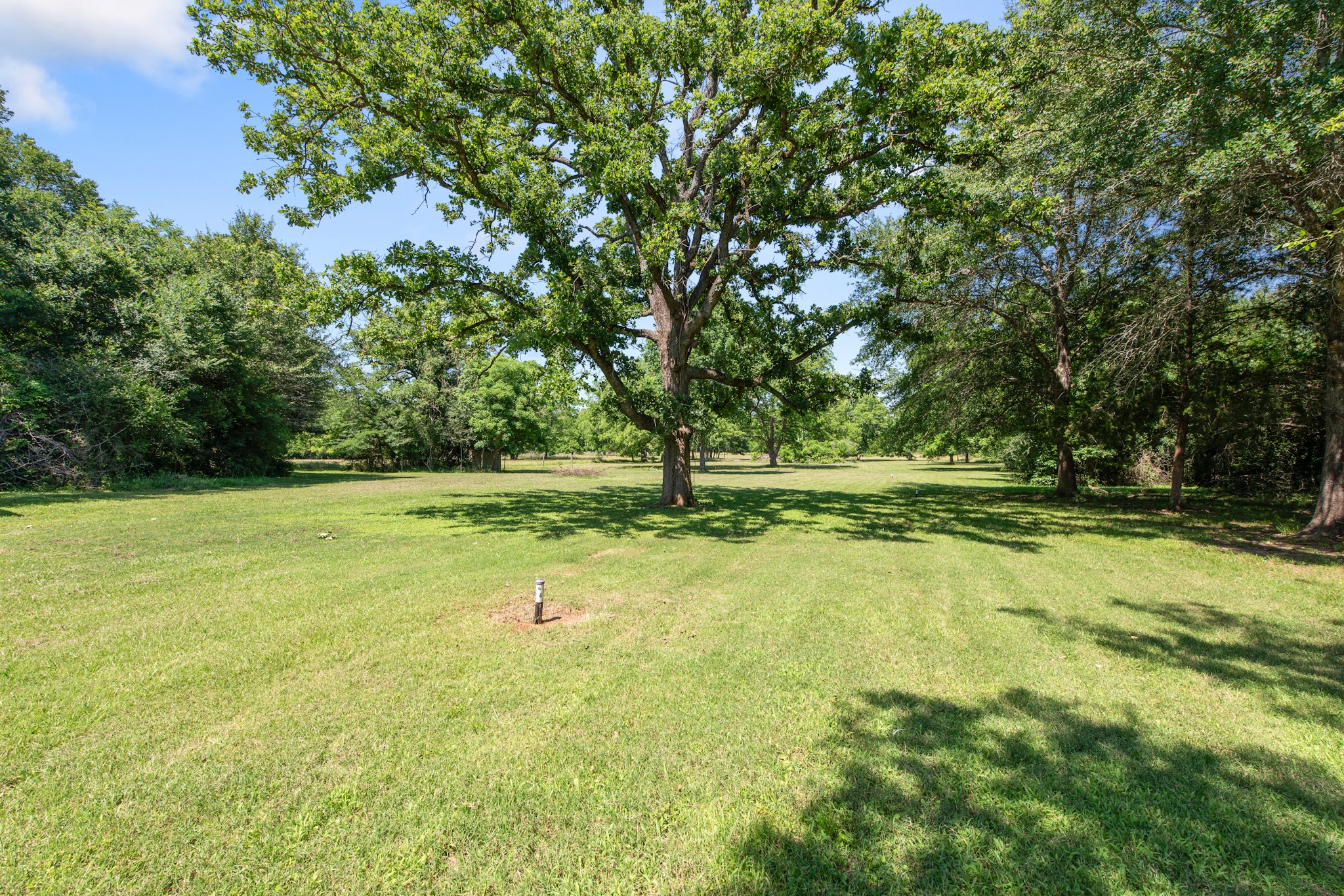 13732 Ferrill Creek Road Bryan, TX 77808 - Photo 18 of 20