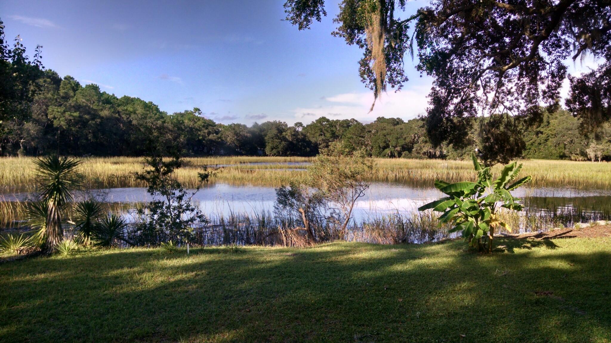 3490 Point Field Road Johns Island, SC 29455 - Photo 33 of 43 33-Views