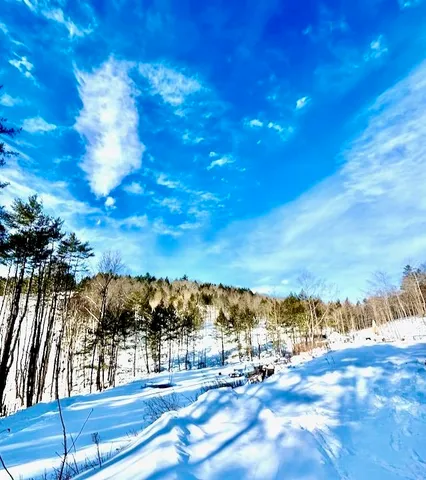 $289,990 | 266 Tory Hill Road, Langdon, NH 03602