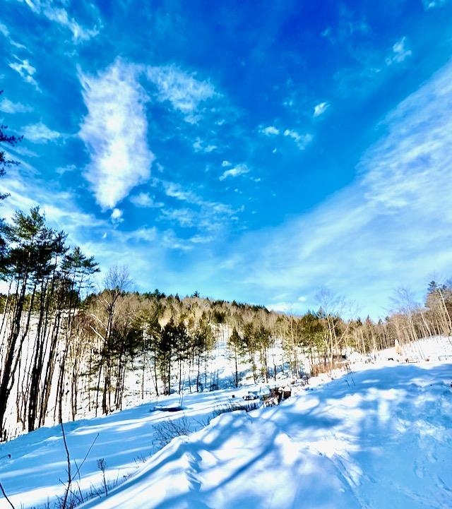 266 Tory Hill Road Langdon, NH 03602 - Photo 2 of 23