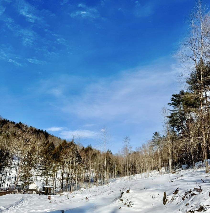 266 Tory Hill Road Langdon, NH 03602 - Photo 4 of 23