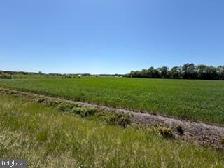 Lot #16 Tower Road Camden Wyoming, DE 19934 - Photo 11 of 14 a view of a green field with lots of green space