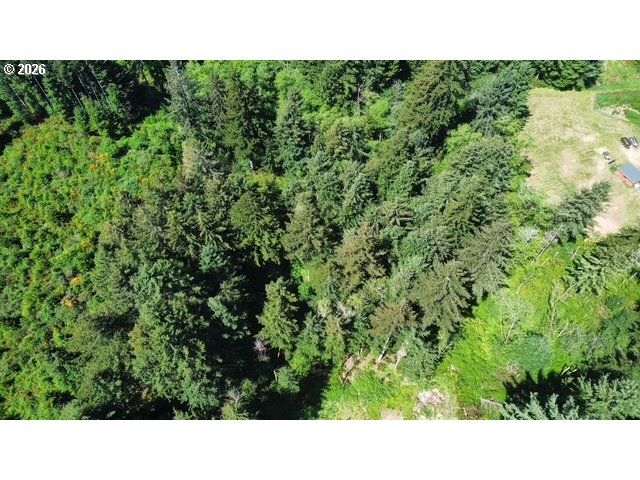 400 Erhart Road Florence, OR 97439 - Photo 14 of 16 a open area with a green yard